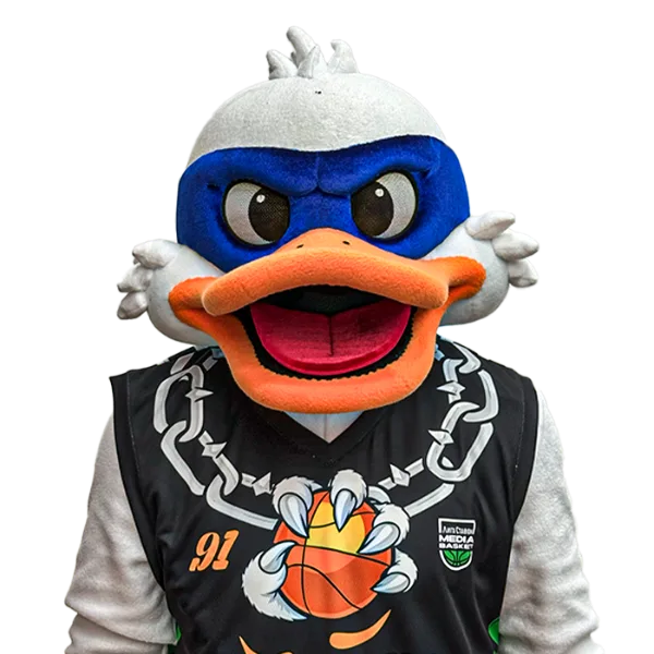 DARK DUCK